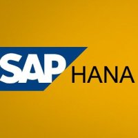 SAP HANA ONLINE ACCESS